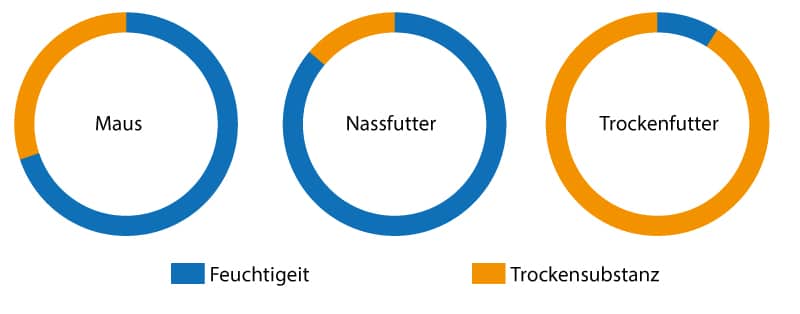 Infografik: Unterschied von Wasseranteil/Feuchtigkeit von Maus, Nassfutter und Trockenfutter
