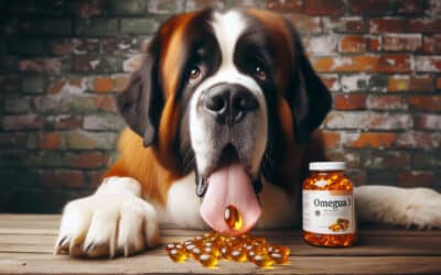 Warum ist Omega-3 gut für unsere Hunde?
