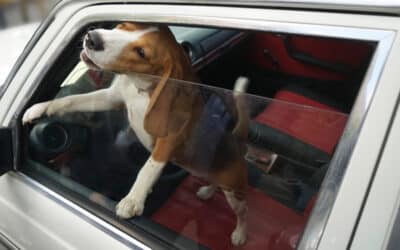 Hitzeentwicklung im Auto