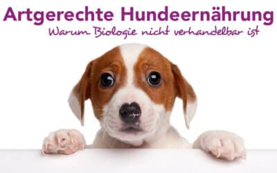 Artgerechte Hundeernährung – warum Biologie nicht verhandelbar ist
