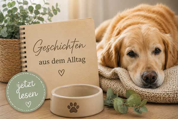 hundegeschichten-ernaehrung
