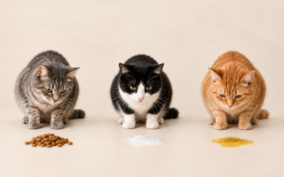 Katze erbricht: Was Futter, Schaum, Galle und Haarballen bedeuten könnten