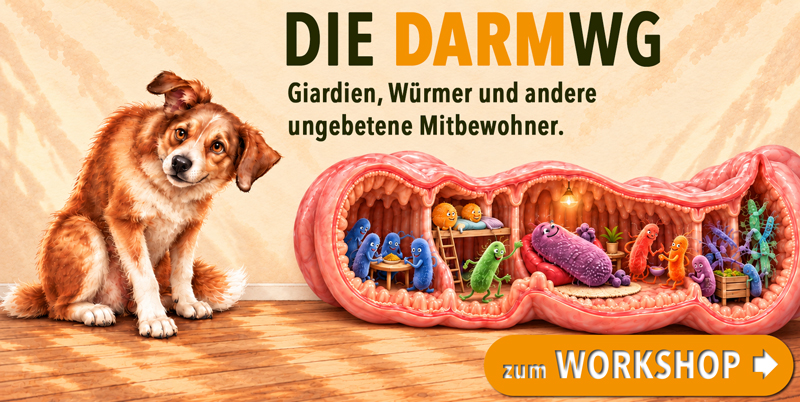 Workshop-die-darm-wg